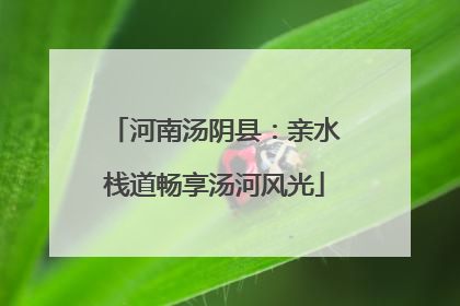 河南汤阴县：亲水栈道畅享汤河风光