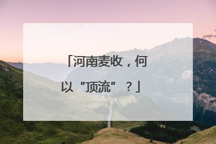 河南麦收，何以“顶流”？