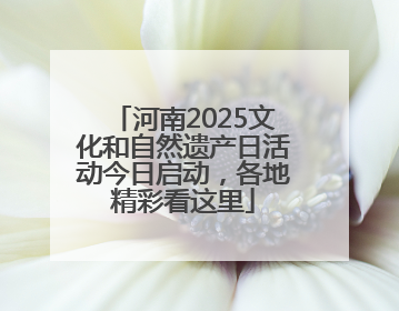 河南2025文化和自然遗产日活动今日启动，各地精彩看这里