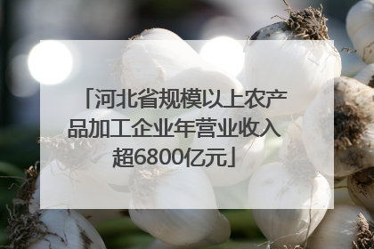 河北省规模以上农产品加工企业年营业收入超6800亿元