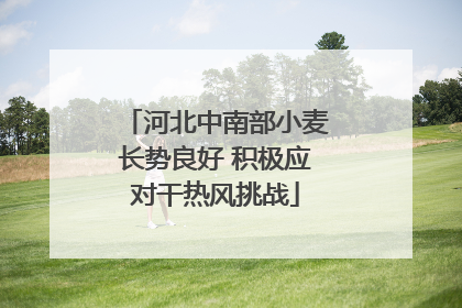 河北中南部小麦长势良好 积极应对干热风挑战