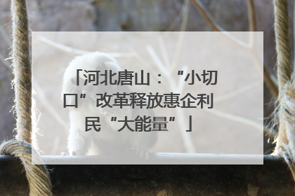 河北唐山：“小切口”改革释放惠企利民“大能量”