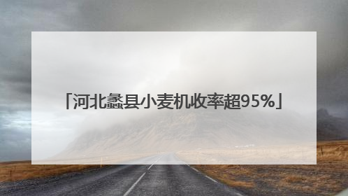 河北蠡县小麦机收率超95%