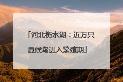 河北衡水湖：近万只夏候鸟进入繁殖期