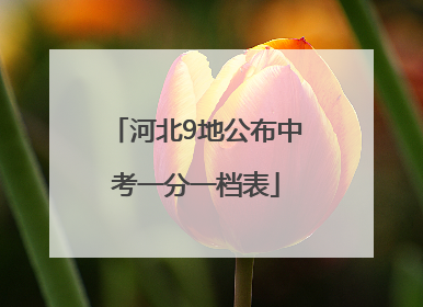 河北9地公布中考一分一档表