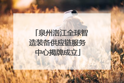 泉州洛江全球智造装备供应链服务中心揭牌成立