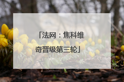 法网：焦科维奇晋级第三轮
