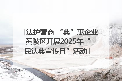 法护营商 “典”惠企业 黄陂区开展2025年“民法典宣传月”活动