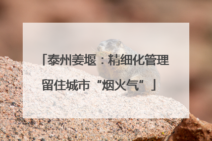 泰州姜堰：精细化管理留住城市“烟火气”