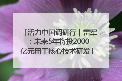 活力中国调研行｜雷军：未来5年将投2000亿元用于核心技术研发