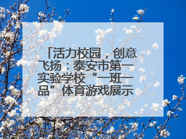 活力校园，创意飞扬：泰安市第一实验学校“一班一品”体育游戏展示精彩纷呈