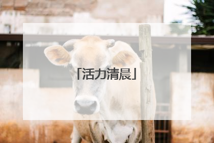 活力清晨