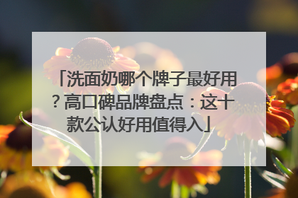 洗面奶哪个牌子最好用？高口碑品牌盘点：这十款公认好用值得入