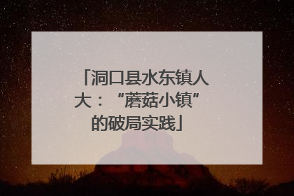 洞口县水东镇人大：“蘑菇小镇”的破局实践