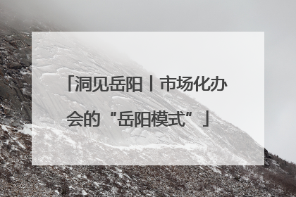 洞见岳阳丨市场化办会的“岳阳模式”