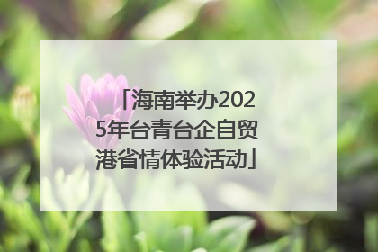 海南举办2025年台青台企自贸港省情体验活动