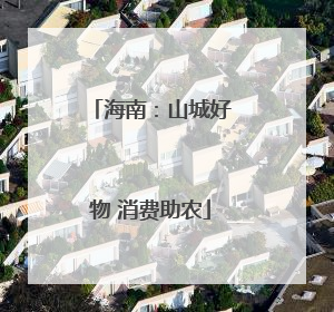 海南：山城好物 消费助农