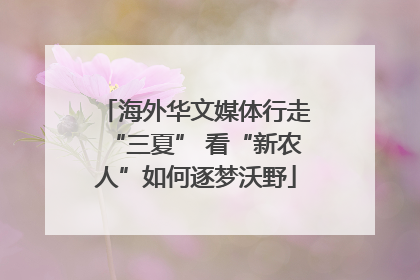 海外华文媒体行走“三夏” 看“新农人”如何逐梦沃野