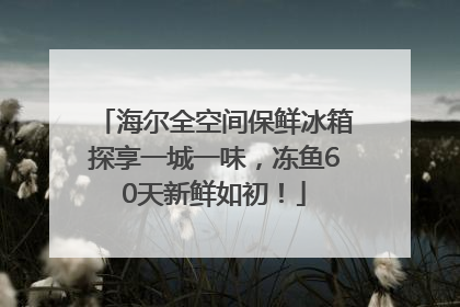 海尔全空间保鲜冰箱探享一城一味，冻鱼60天新鲜如初！