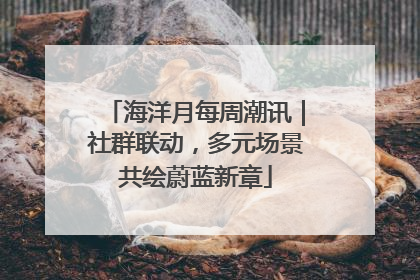 海洋月每周潮讯｜社群联动，多元场景共绘蔚蓝新章