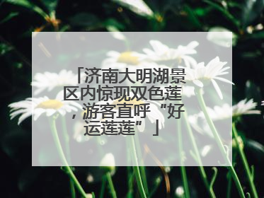 济南大明湖景区内惊现双色莲，游客直呼“好运莲莲”