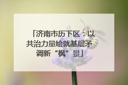 济南市历下区：以共治力量绘就基层矛调新“枫”景