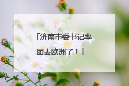 济南市委书记率团去欧洲了！