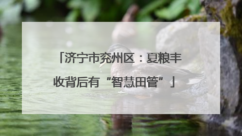 济宁市兖州区：夏粮丰收背后有“智慧田管”