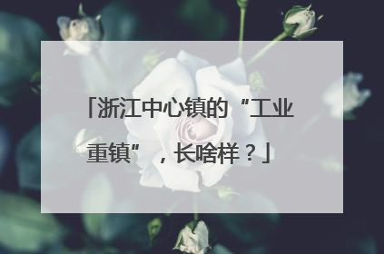 浙江中心镇的“工业重镇”，长啥样？