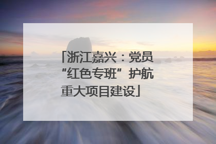 浙江嘉兴：党员“红色专班”护航重大项目建设