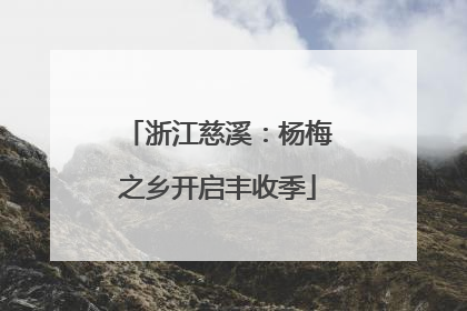 浙江慈溪：杨梅之乡开启丰收季