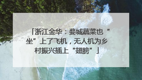 浙江金华：婺城蔬菜也“坐”上了飞机，无人机为乡村振兴插上“翅膀”