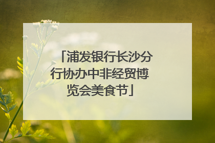 浦发银行长沙分行协办中非经贸博览会美食节