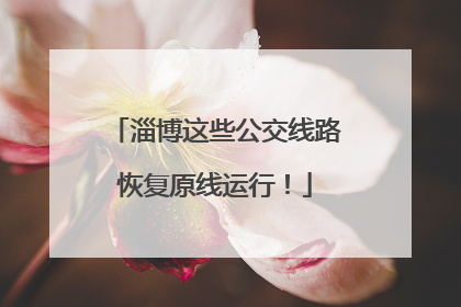 淄博这些公交线路恢复原线运行！