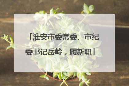 淮安市委常委、市纪委书记岳岭，履新职