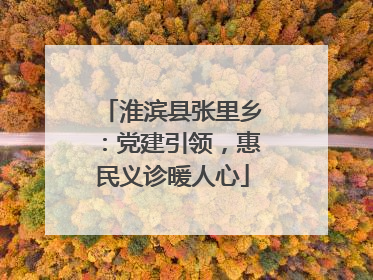 淮滨县张里乡：党建引领，惠民义诊暖人心