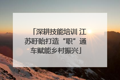 深耕技能培训 江苏盱眙打造“职”通车赋能乡村振兴