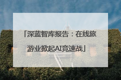 深蓝智库报告：在线旅游业掀起AI竞速战