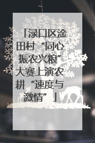渌口区淦田村“同心振农兴粮”大赛上演农耕“速度与激情”