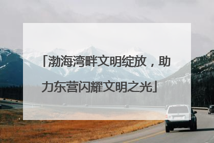 渤海湾畔文明绽放，助力东营闪耀文明之光