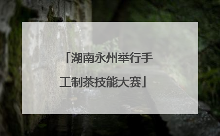 湖南永州举行手工制茶技能大赛