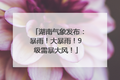 湖南气象发布：暴雨！大暴雨！9级雷暴大风！