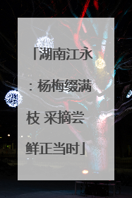 湖南江永：杨梅缀满枝 采摘尝鲜正当时