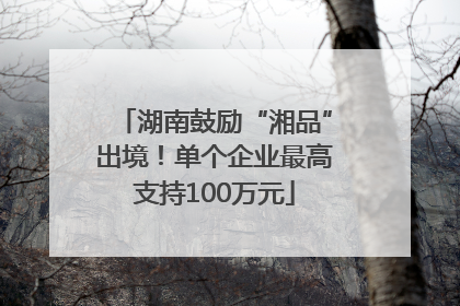 湖南鼓励“湘品”出境！单个企业最高支持100万元