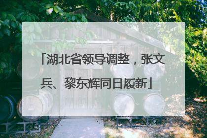 湖北省领导调整，张文兵、黎东辉同日履新