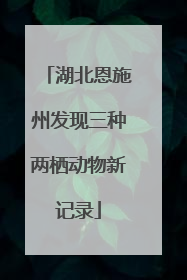 湖北恩施州发现三种两栖动物新记录