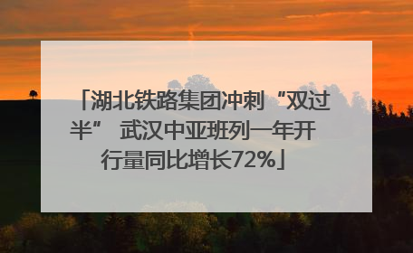 湖北铁路集团冲刺“双过半” 武汉中亚班列一年开行量同比增长72%