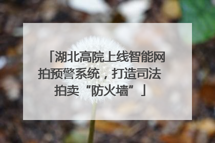 湖北高院上线智能网拍预警系统，打造司法拍卖“防火墙”