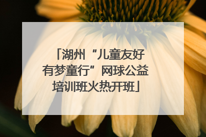 湖州“儿童友好 有梦童行”网球公益培训班火热开班