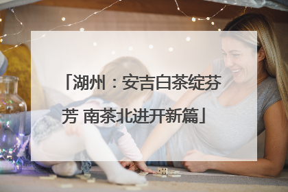 湖州：安吉白茶绽芬芳 南茶北进开新篇
